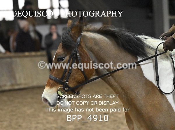 BPP_4910 - CLASS 2 30CM