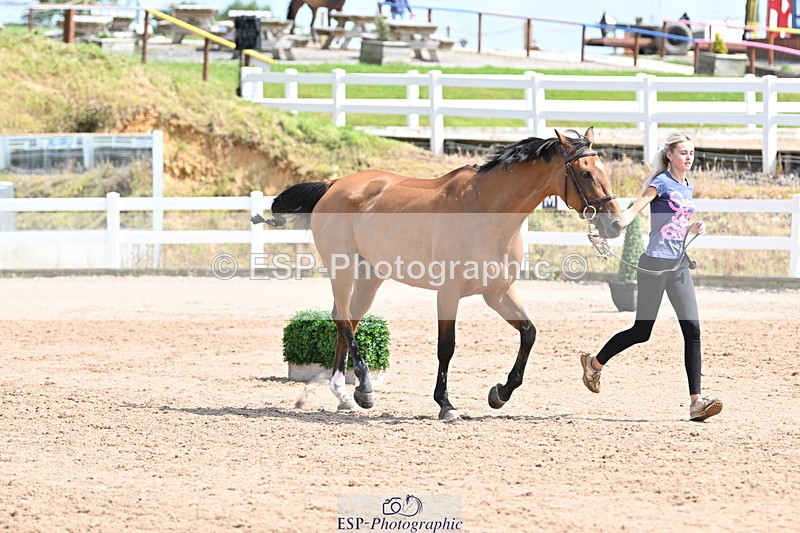 240717A-152337-02804 - Trot Up 3pm to 4pm