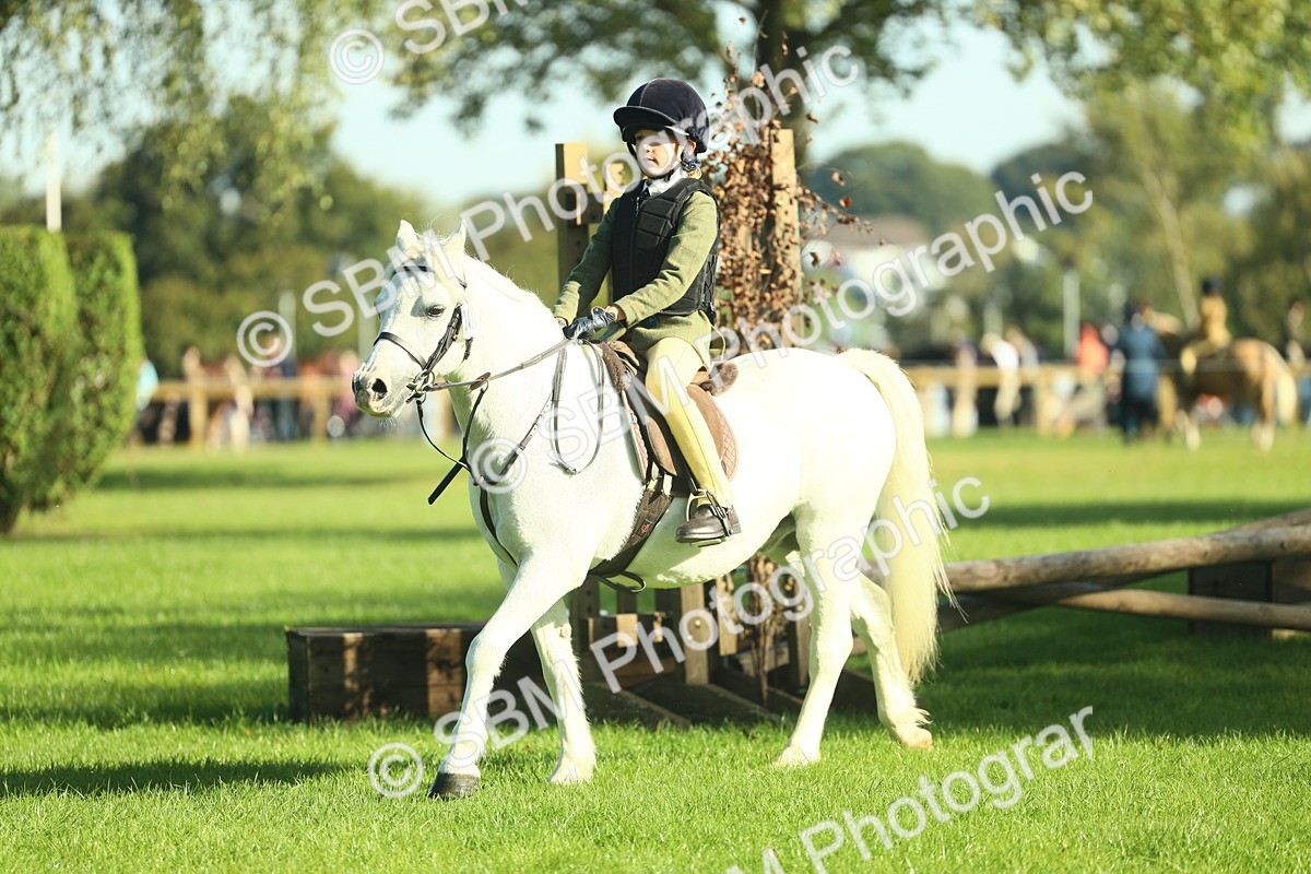 SBM_36394 - S29 - Novice & Newcomers Working Hunter Pony