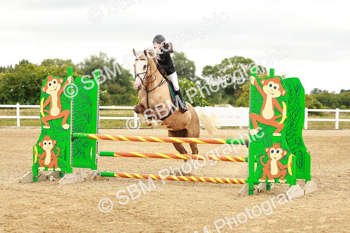 SBM_001597 - Class 9 - Senior British Novice - 90cm