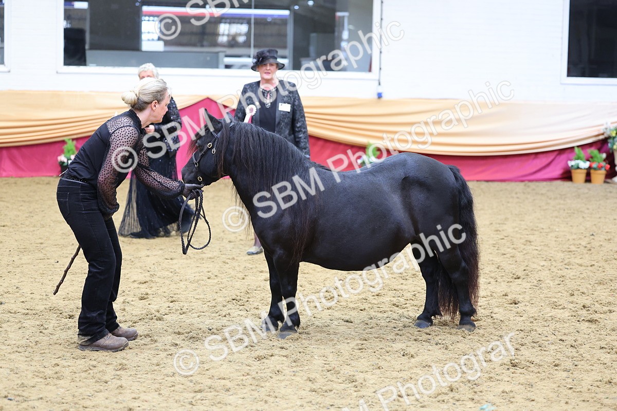 SBM_22860 - Class 903 - Supreme Final - IH Pre Vet