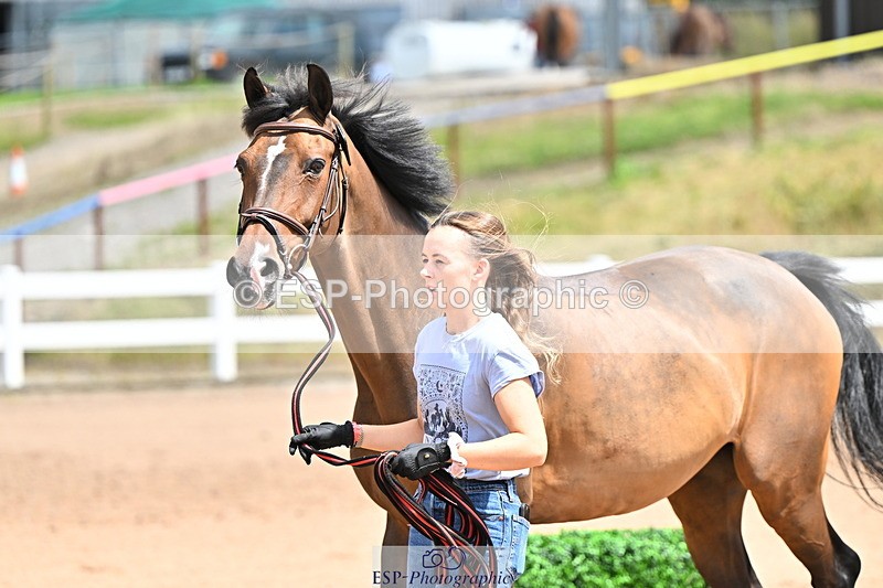 240718A-105305-01535 - Trot Up 12pm to 1pm