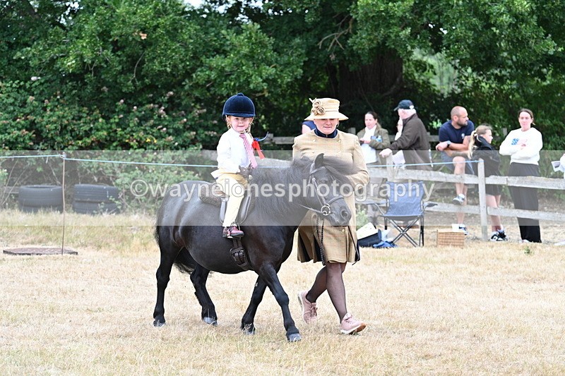 WJ7_8494 - Class 4 Prettiest Mare up to 14.2hh