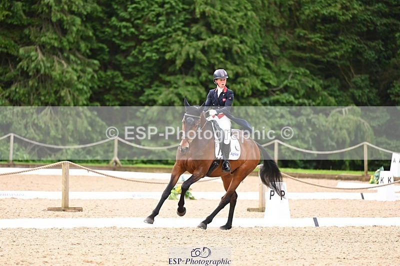 240524-091929-07788 - 504-LORDSHIPS_GRAFFALO-Rosalind_Canter