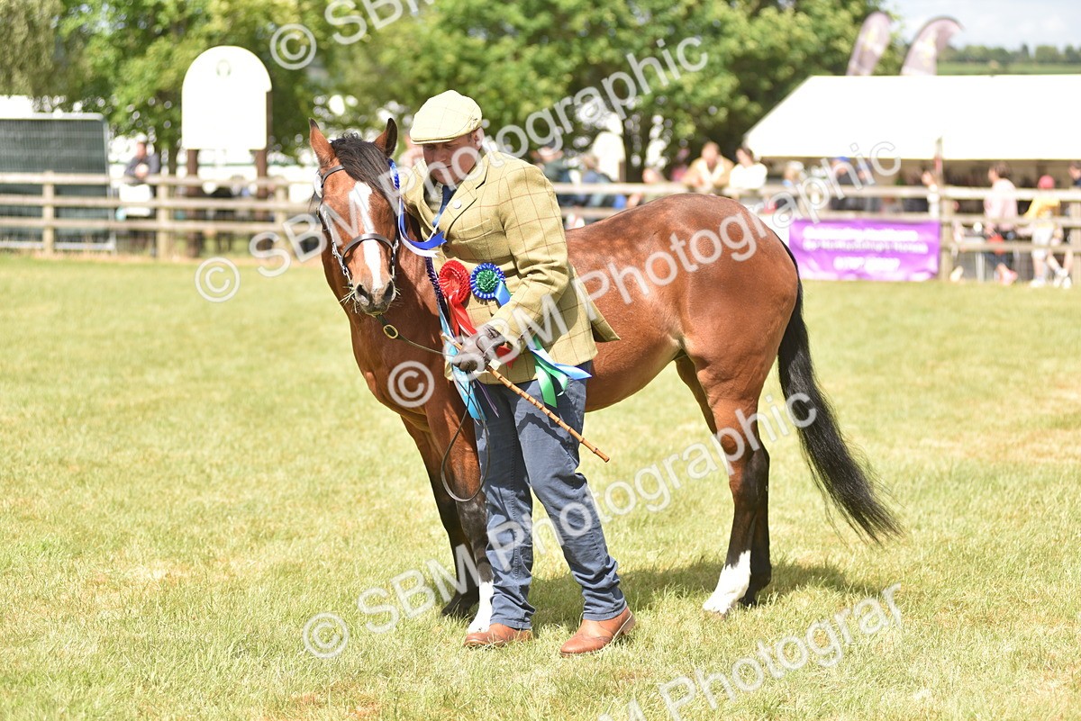 SBM_16139 - Class 117-122 - SSADL RIHS Qualifier