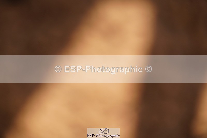 240526A-085812-06932 - Cls 30 Snr 1.20m Open