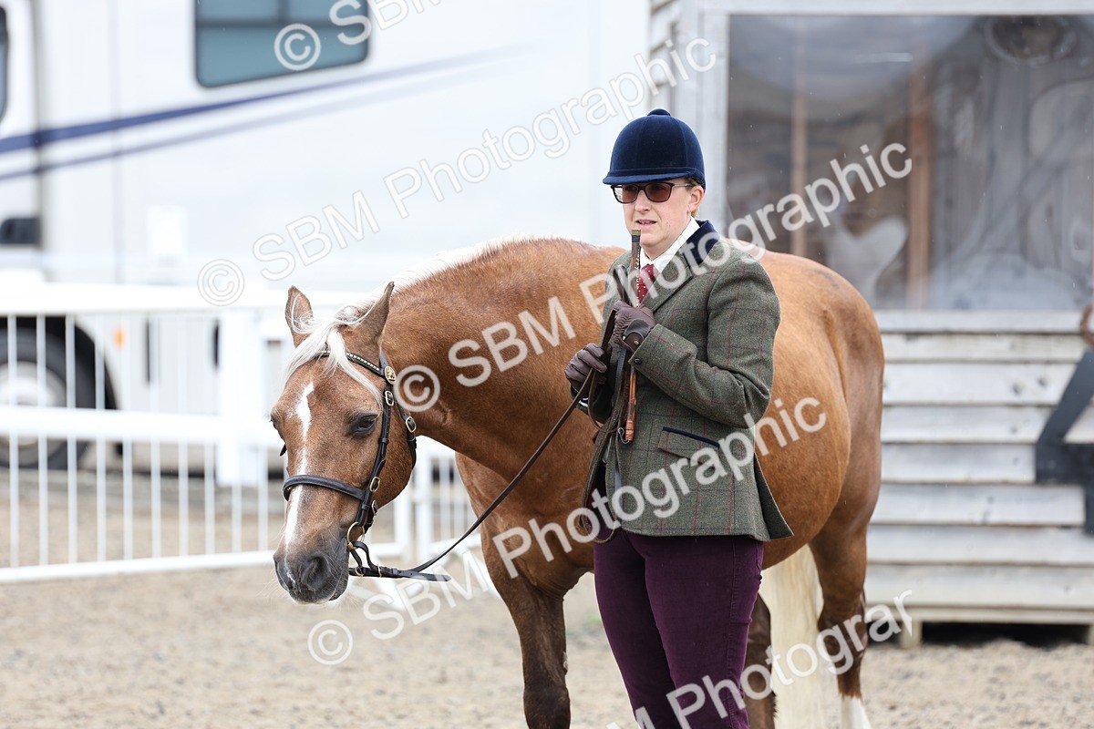 SBM_00059 - Class 50 - Best Turned Out IH