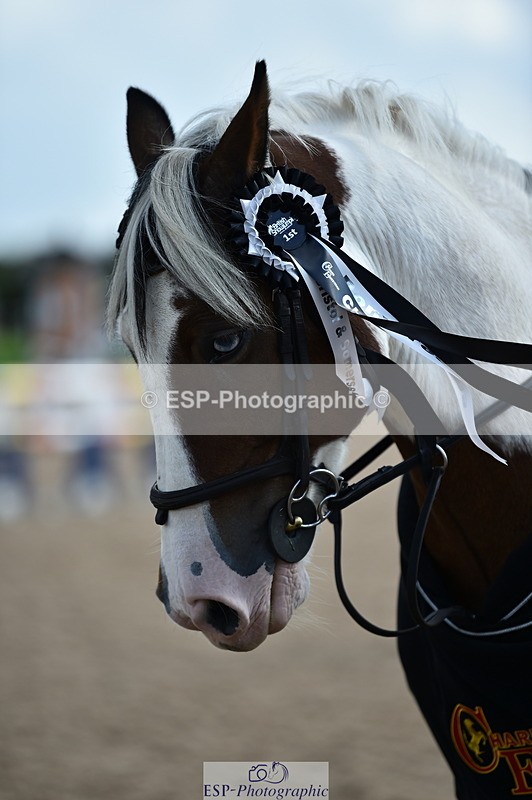 230902A-145116-01841 - Cls 3B Pony Medium 90cm