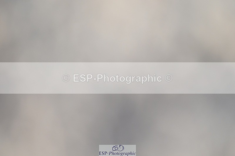 250125-100929-00131 - Dressage - CT Class 4 BE95 (80cm)