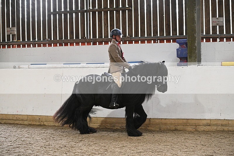 WJ7_4488 - Afternoon Champs