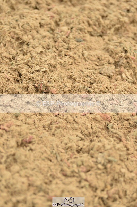 230720A-150642-03435 - Cls 17, 1 Star Silver 1.20m