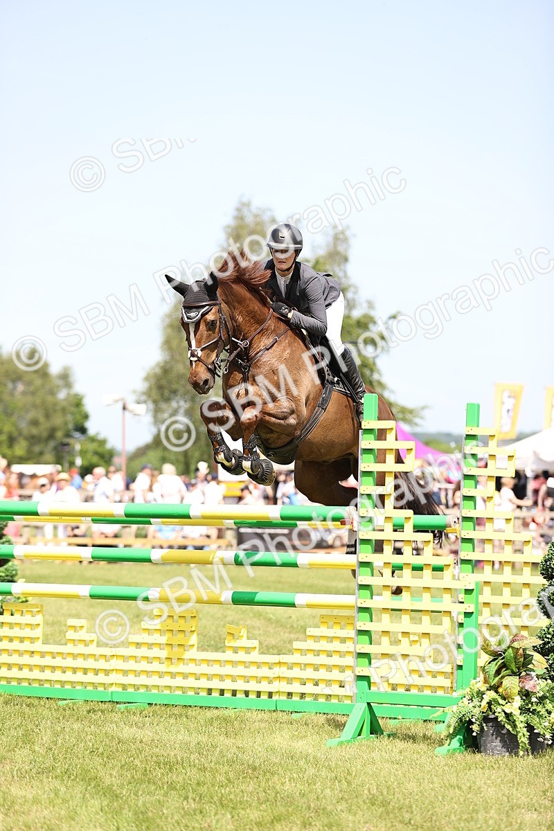 SBM_04007 - Class 201 - British Horse Feedds Speedi Beet HOYS Grade C