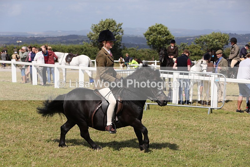 1X9A5580 - Class 39: NPS Dartmoor, Exmoor, Shetland