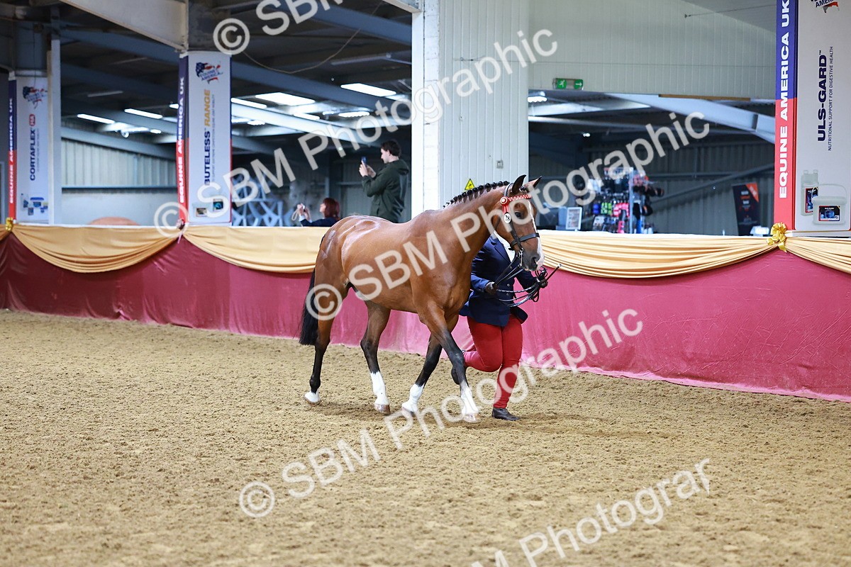 SBM_16141 - Class 901 - Sup Final - IH Diamond
