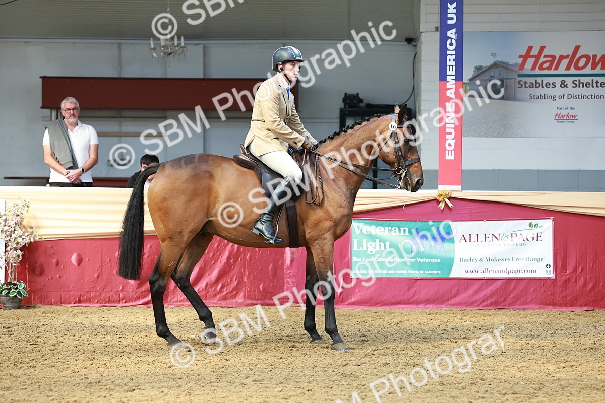 SBM_14933 - Class 108 - Ridden Retired Racehorse