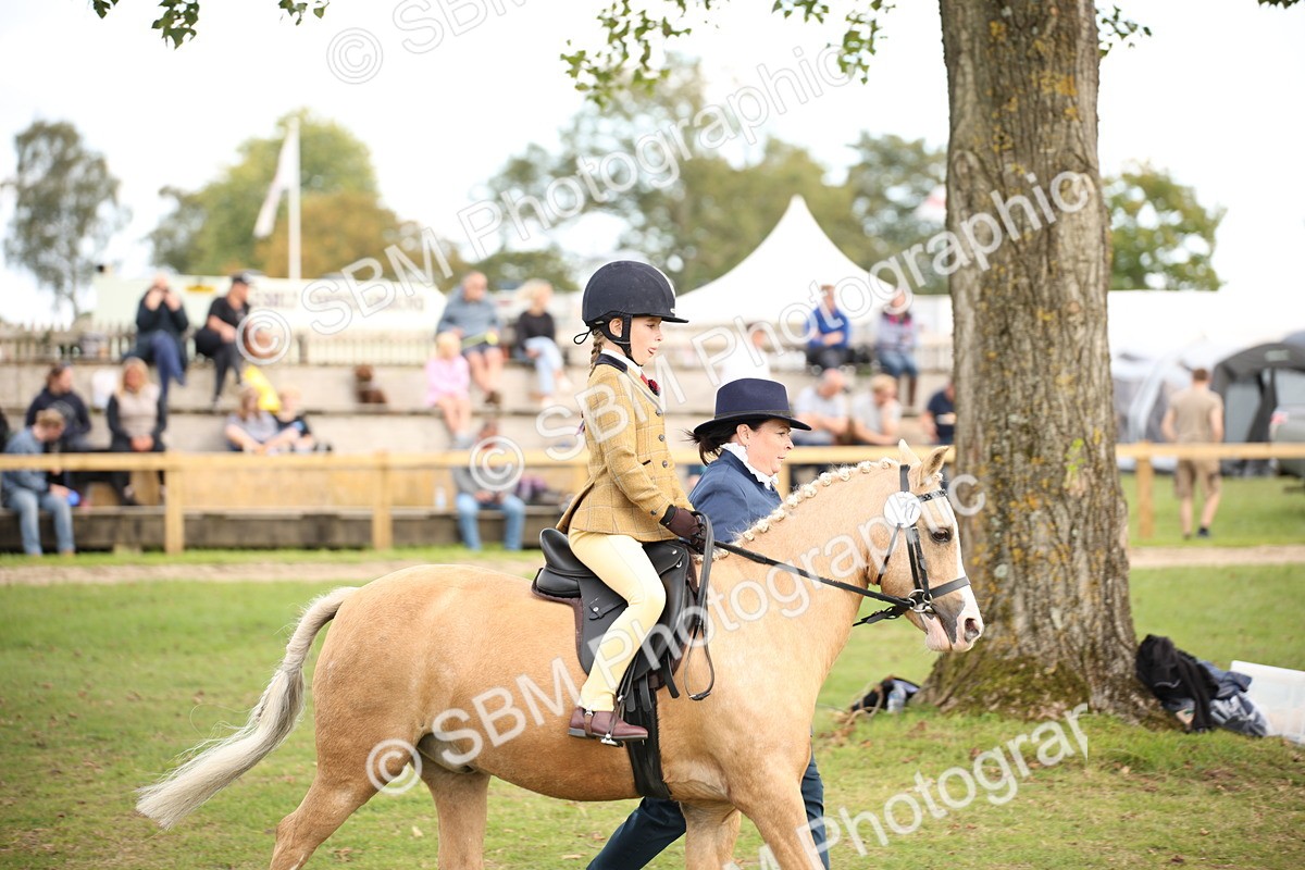 SBM_50016 - S26 - Young Veteran - Ridden