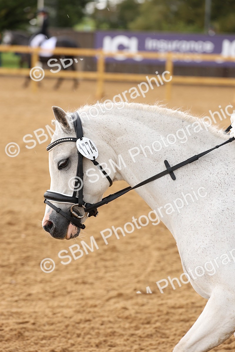 SBM_03407 - D1 - Small Tour Championship Intro 1