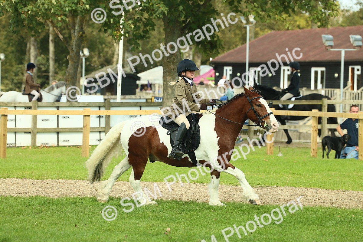 SBM_68844 - S58 - Mini Show Cob Ridden