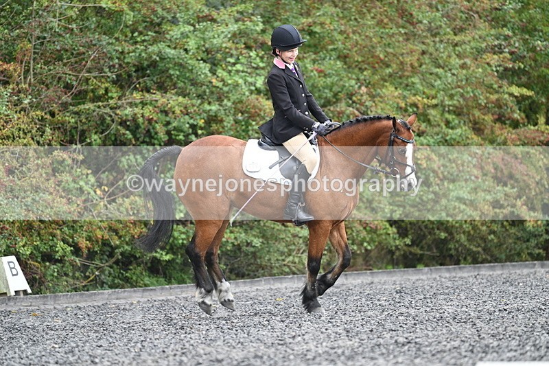 WJ7_4020 - Time 11:04 to 11:38