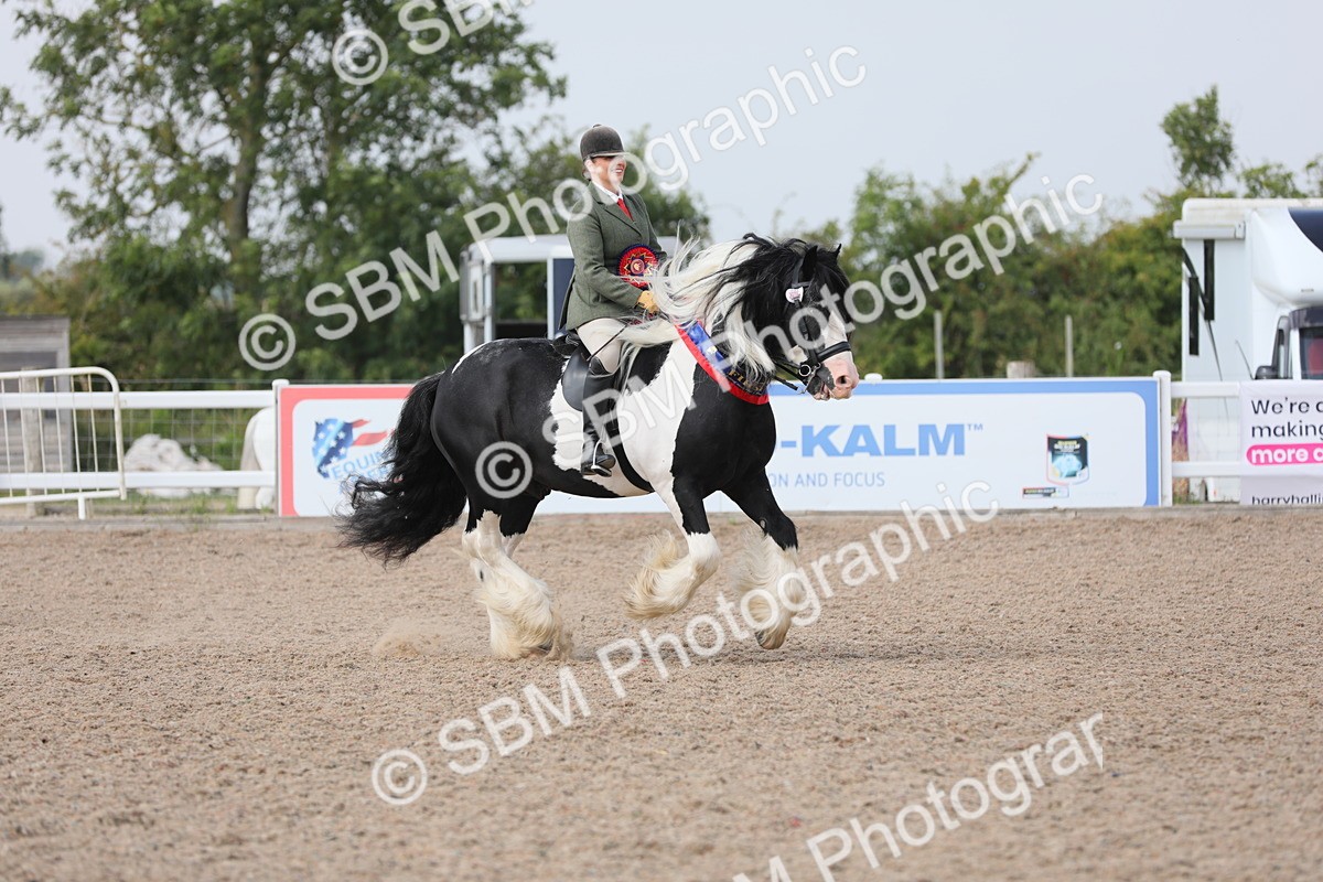 SBM_12871 - Class 307 Ridden Coloured Pony