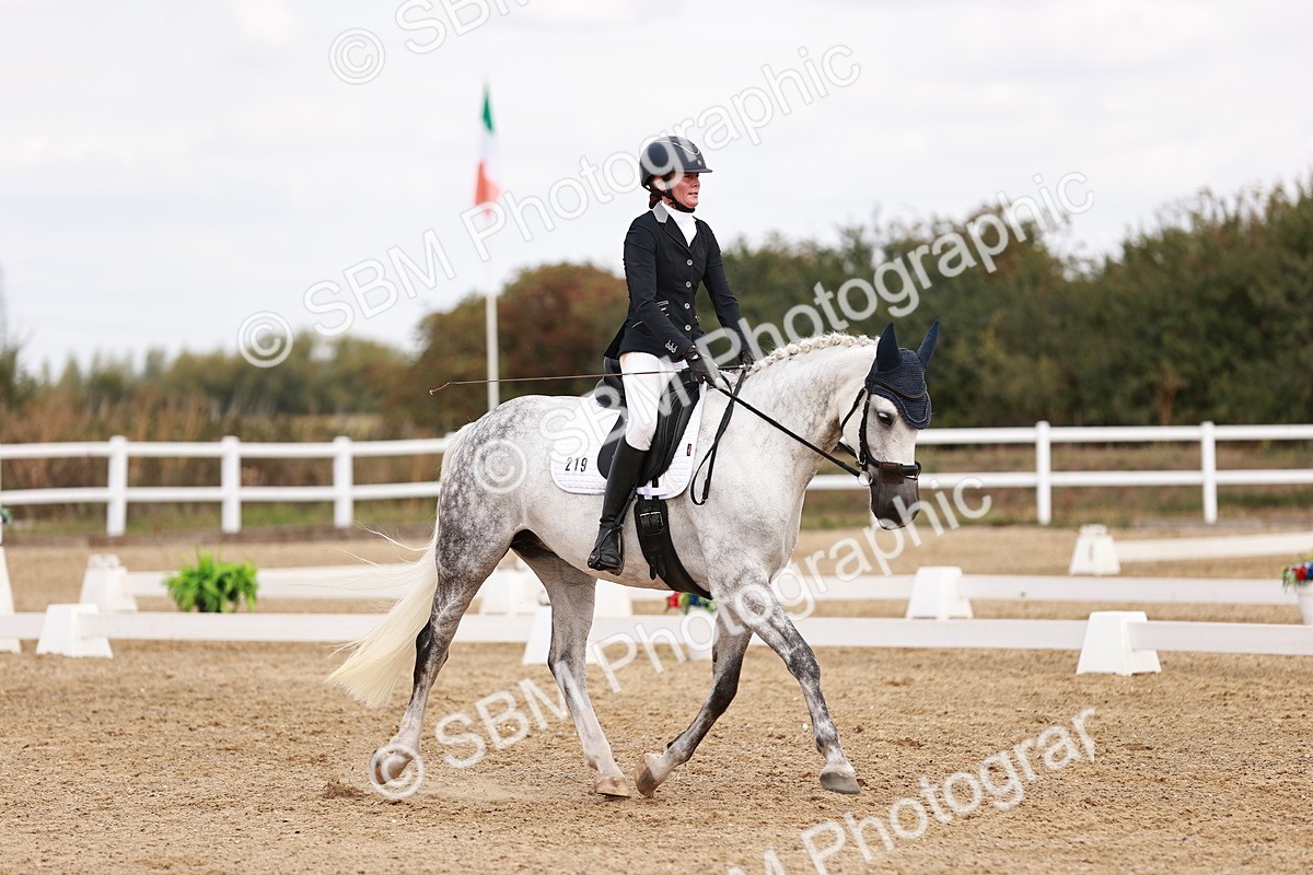 SBM_018010 - Class 15 - Prelim 6