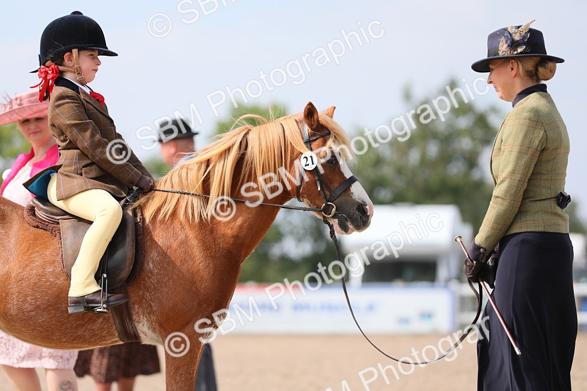 SBM_14068 - Class 309 Lead Rein Pony