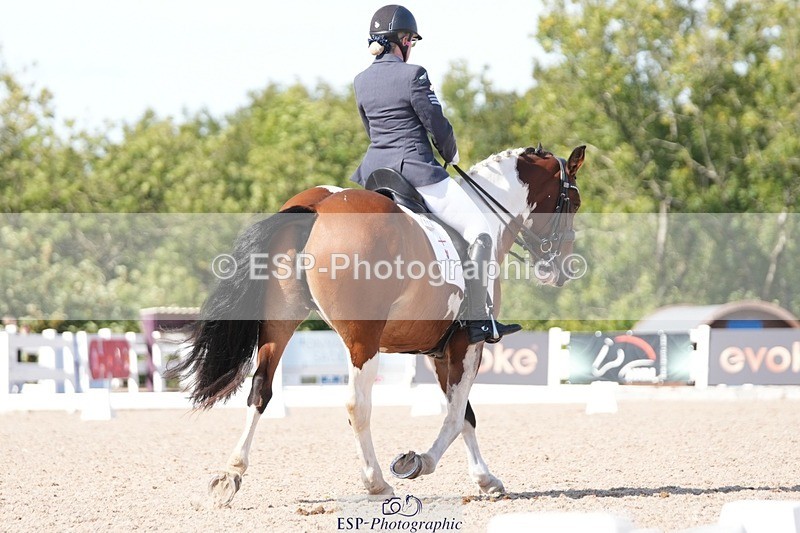 250906-151640-04711 - 112-Mel.DayDolderwydd.lucky.Maisie