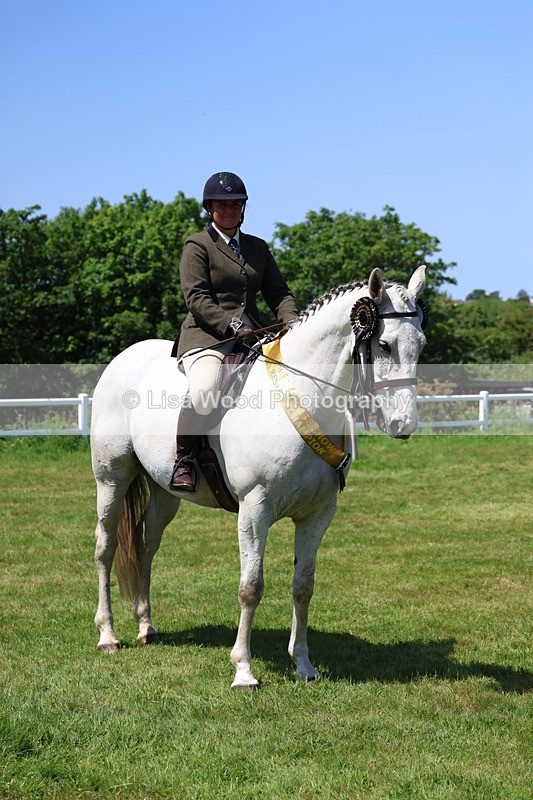 3E7A8129 - Working Hunter Championship