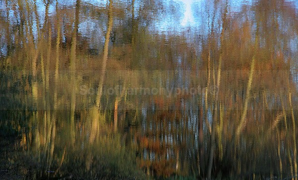 Art And Nature - Art And Nature