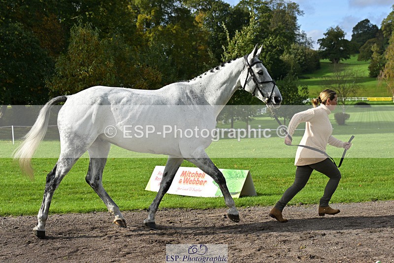 241023-132039-00219 - 014-Lizzie.Luxton-ST.TROPEZ