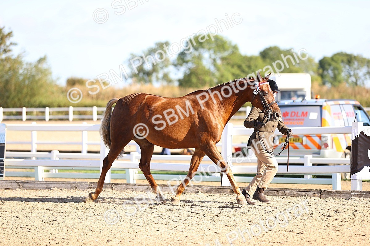 SBM_08441 - Class 402 - IH Veteran Pony