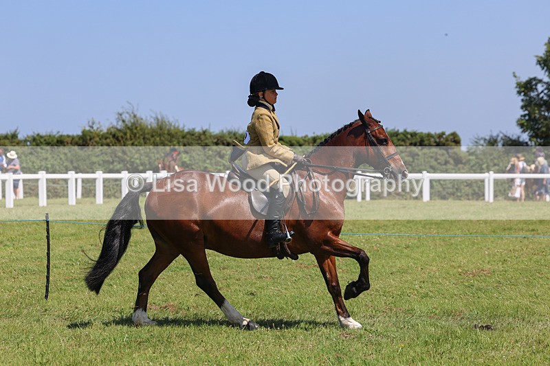 IMG_2342 - Class 38: Veteran Ridden