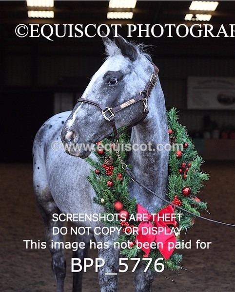 BPP_5776 - Marion West pony 2