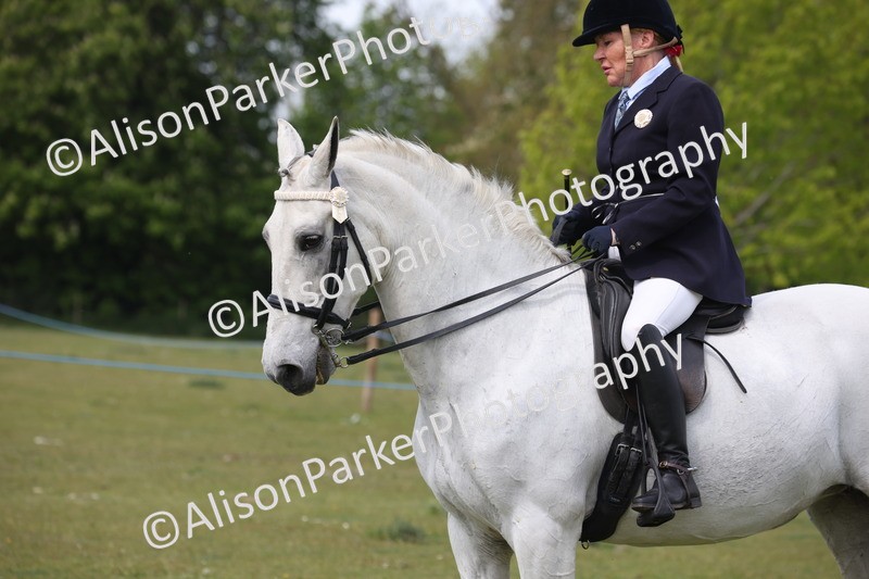 20260426-4402 - Class 34 - Best Riding Horse Over 14.2hh
