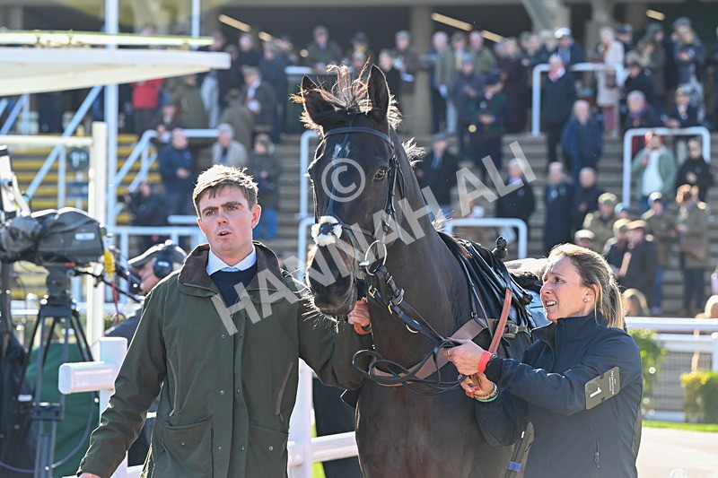 241025-Race 2-Centara-2379 - Race 2