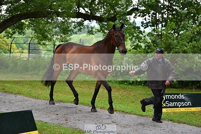 240522-153612-00467 - 379-TREBIFFIN-Neil_Fox