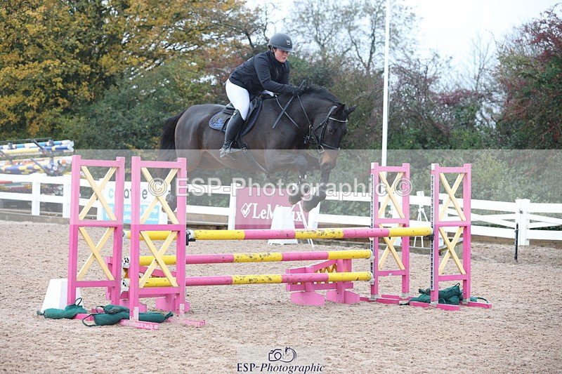 231112A-102505-03334 - Cls 17 Blue Chip Novice Winter Qualifier