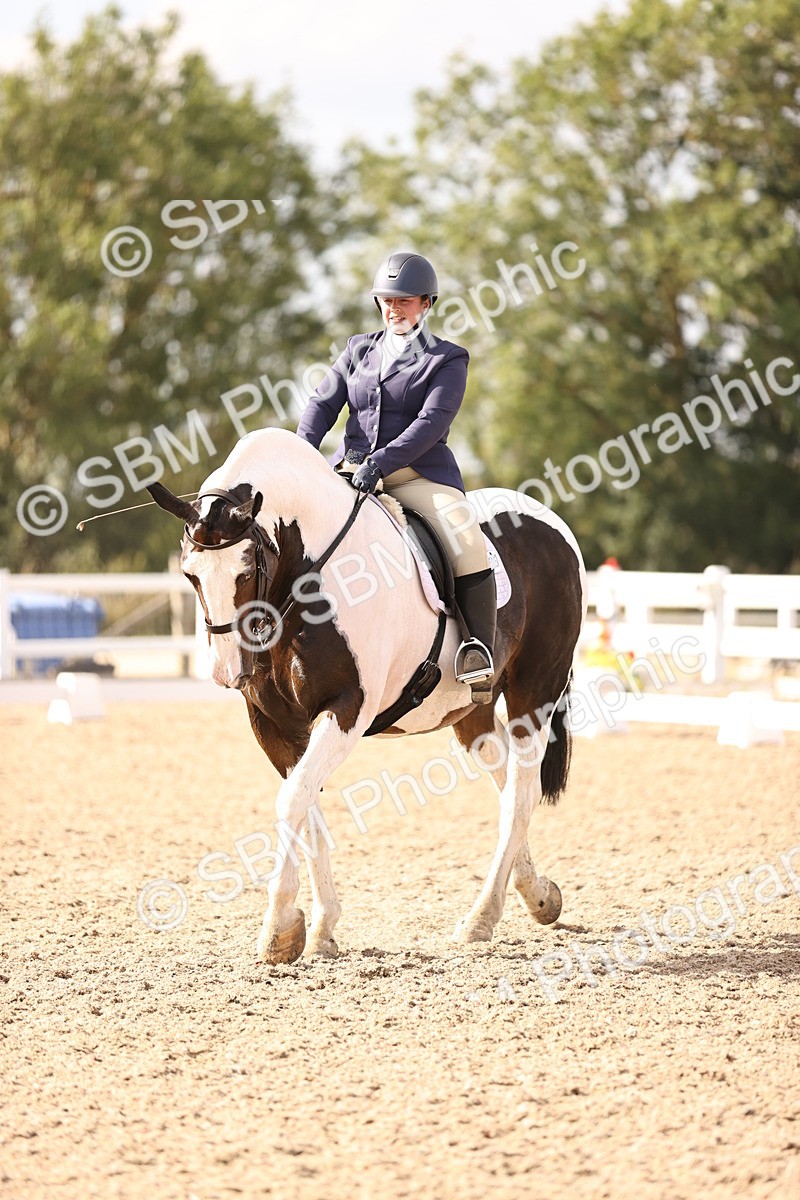 SBM_08105 - Class 39 Medium 3