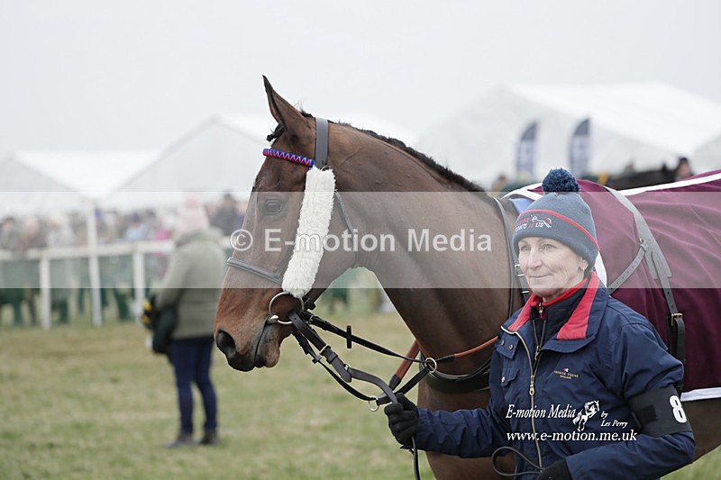 PtP 040323 627 - Duke of Beauforts Hunt Point-to-Point Didmarton 04/03/23