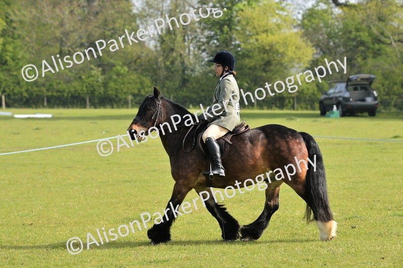 20260426-0872 - Class 18 - Novice Showing