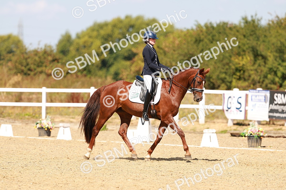 SBM_018331 - Class 9 - N5 Bronze 11.57.13.07