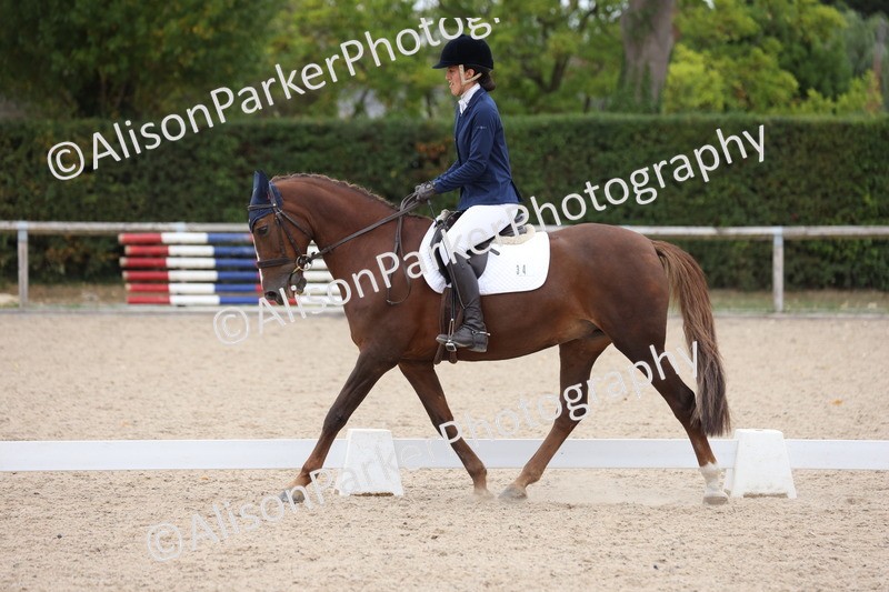 20250820-1261 - Class 18 - Elementary 5