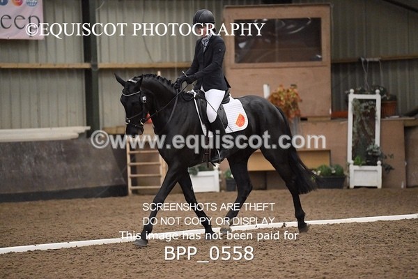 BPP_0558 - 13 / 14 - H BROADHURST