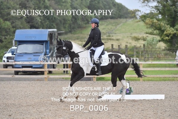 BPP_0006 - PRELIM 4 Q