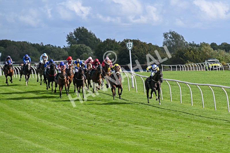 080926-Race 5-Lope Y Linda-2665 - Race 5 4.11pm Every Race Live On Racing TV Handicap