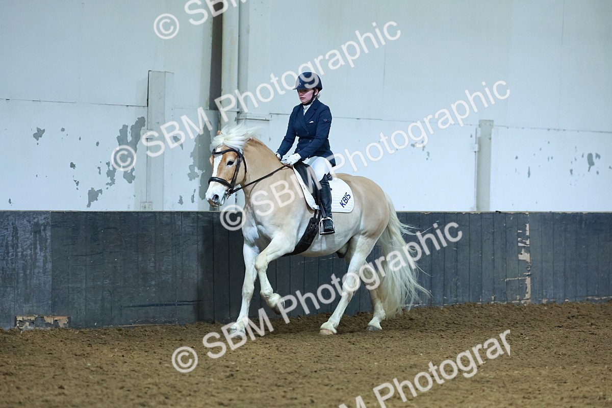 SBM_003926 - Novice 2