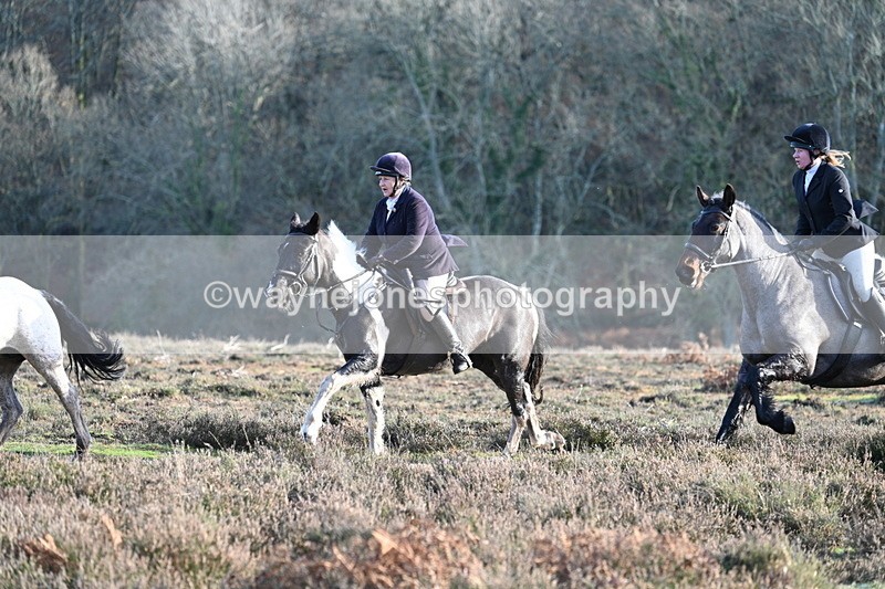 WJ7_7968 - Line 3 (no line 4 or 5)