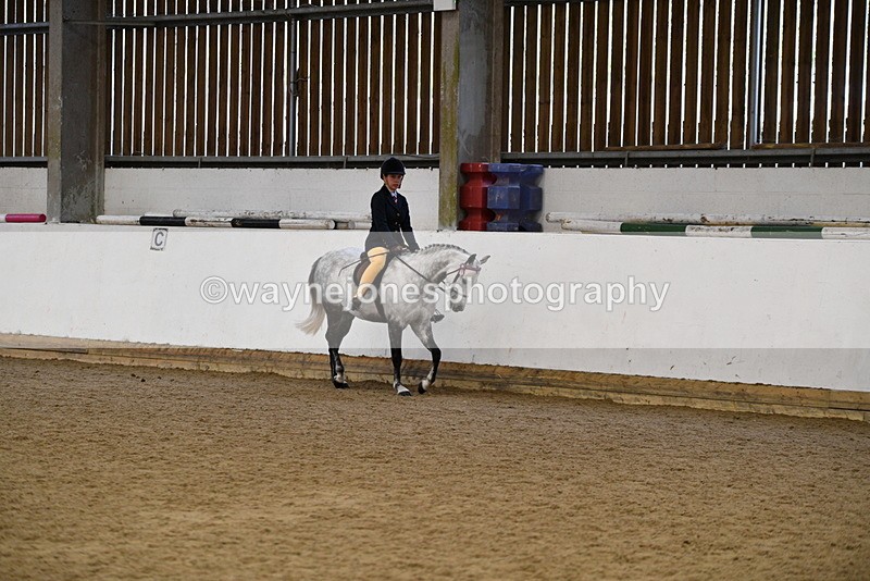 WJ5_7700 - Class 13 Ridden Part Breed