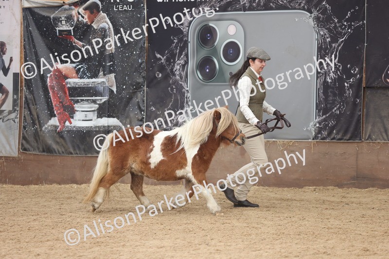 20251109-0299 - Class 13 - Mares 4 Years and Over