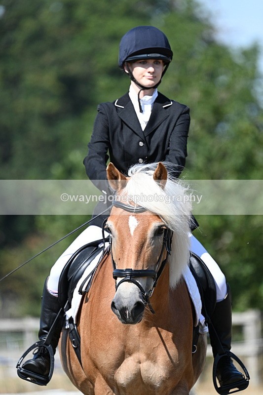 WJ7_0305 - Time 11:33 to 11:44